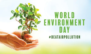 World Environment Day Banner - Plant in Hand | 3' x 5' Horizontal - makesafetyvisible.com
